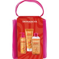 Dermacol Aroma Moment Gingerbread Cookies darilni set v božičnem slogu