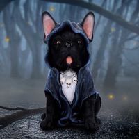 Dekoration (Figur) Reaper's Best Friend