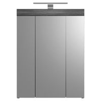 MID.YOU ZRKADLOVÁ SKRINKA, biela s vysokým leskom, antracitová, sivá, 60/79/18 cm