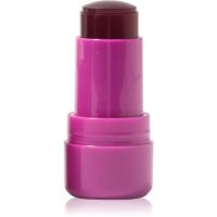 Technic Cosmetics Jelly Tint rdečilo v paličici za ustnice in lica odtenek Berry Cool 9 g