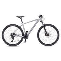 Horské kolo 4EVER Victory 29" 10.0 L (19", 175-185 cm) silver pearl/black