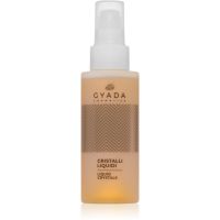 Gyada Cosmetics Anti-Frizz extra-aufhellende Flüssigkristalle für das Haar 100 ml