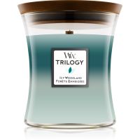 Woodwick Icy Woodland αρωματικό κερί με ξύλινο φιτίλι 275 γρ