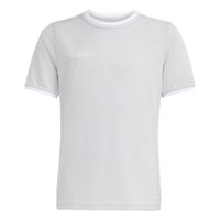 ADIDAS PERFORMANCE Tehnička sportska majica 'Entrada26'  kameno siva / bijela