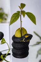 Vase (Dekoration) KILLSTAR - Serpentina Bud - schwarz