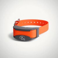 Nyakörv és vevőkészülék  SportDOG kistestű kutyáknak