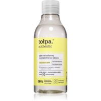 Tołpa Authentic Micellar Liquid Illuminated Skin reinigendes Mizellenwasser 300 ml