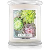 Kringle Candle Succulents αρωματικό κερί 411 γρ