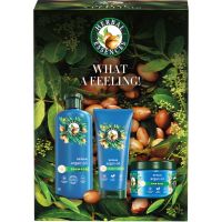 Herbal Essences Argan Oil Repair Gift Set Geschenkset für beschädigtes Haar
