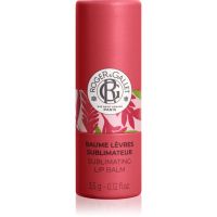 Roger & Gallet Gingembre Rouge Sublimating Lip Balm бальзам для губ 3.5 гр
