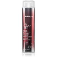 Joico Defy Damage Detox Shampoo reinigendes Detox-Shampoo 300 ml
