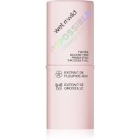 Wet n Wild Impossible основа в стик 14 гр.