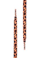 Special Flat Cheetah