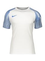 NIKE Tehnička sportska majica 'Academy'  plava / bijela