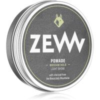 Zew For Men Pomade Light Shine pomada za lase s srednjim utrjevanjem 100 ml