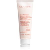 Clarins Soothing Gentle Foaming Cleanser čistilna penasta krema za pomiritev kože 125 ml