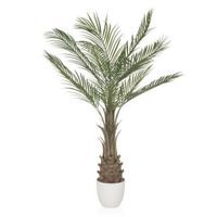 MID.YOU UMELÁ RASTLINA dracena