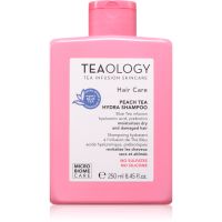 Teaology Peach Tea Hydra Shampoo хидратиращ шампоан за укрепване на увредената коса 250 мл.