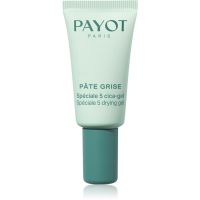 Payot Pâte Grise Spéciale 5 Cica-Gel локальний гель проти акне 15 мл