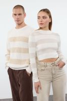 Trendyol Stone Casual Oversize Couple/Double Crew Neck Striped Knitwear Sweater