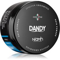 DANDY Water Pomade Extreme Shine помада для волосся 100 мл