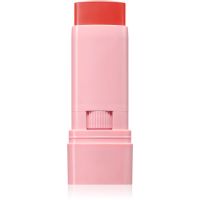 Astra Make-up IDENTISTICK kremasto rdečilo v paličici 01 - Peach Persona 1 kos